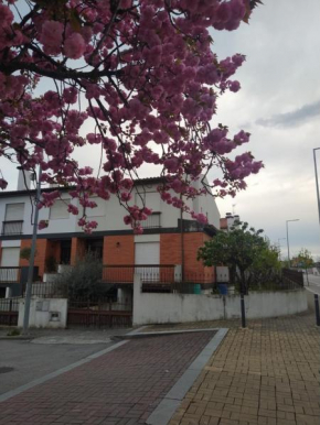 Villa Flaviae